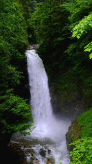Abundance Flow Waterfall Manifestation and Prosperity Energy Wallpaper