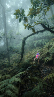 Sagittarius Wanderlust Spirit: Embrace Your Inner Explorer Zodiac Wallpaper