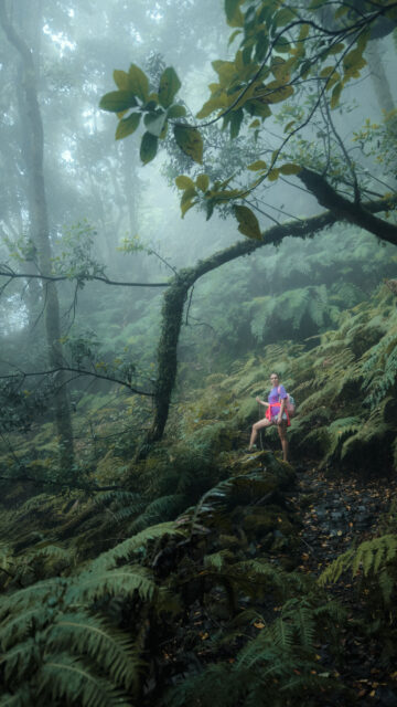 Sagittarius Wanderlust Spirit: Embrace Your Inner Explorer Zodiac Wallpaper