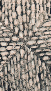Sacred Mandala Stone Pattern Spiritual Grounding and Energy Flow Wallpaper