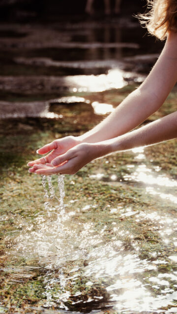 Abundance and Gratitude Manifestation Ritual Spiritual Wallpaper