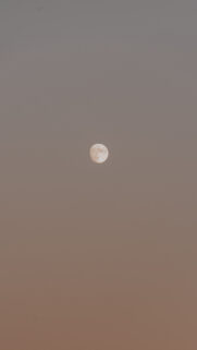Minimalist Waxing Gibbous Moon Aesthetic Spiritual Phone Wallpaper