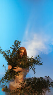 Virgo Earth Energy Botanical Aesthetic Zodiac Wallpaper