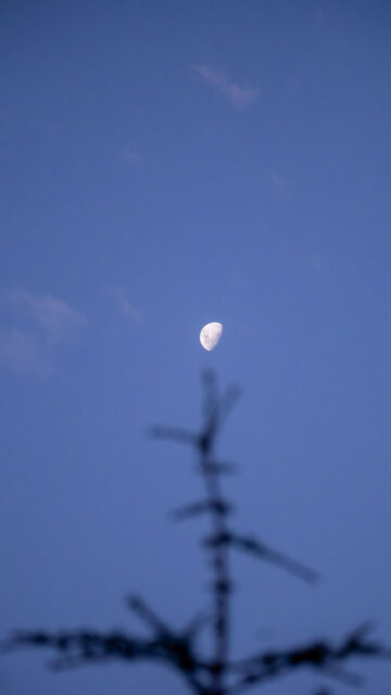 First Quarter Moon Phase Aesthetic Celestial Energy Phone Wallpaper