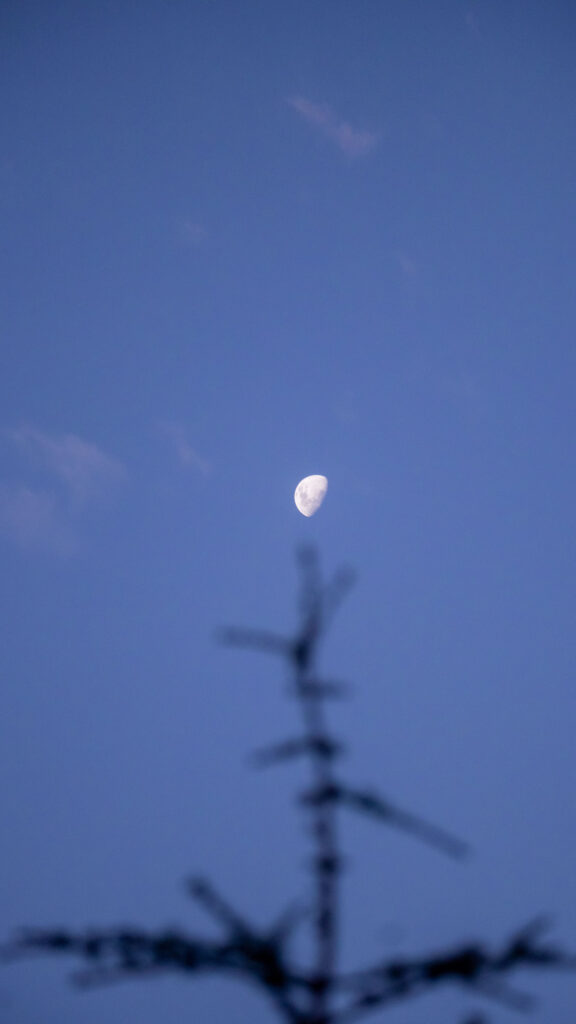 First Quarter Moon Phase Aesthetic Celestial Energy Phone Wallpaper