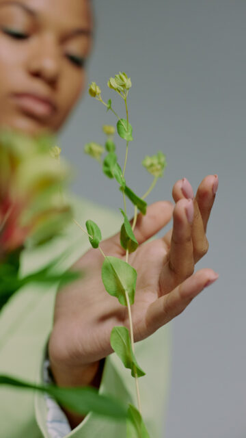 Virgo Botanical Aesthetic: Earth Element Zodiac Sign Manifestation Wallpaper