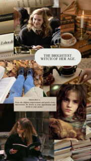 Hermione Granger Aesthetic Collage Mobile Wallpaper