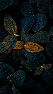 Dark Botanical Foliage Texture Mobile Wallpaper