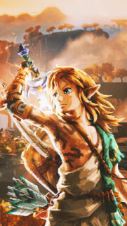 The Legend of Zelda Link Fantasy Action Mobile Wallpaper