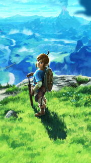 Link Overlooking Hyrule Landscape Mobile Wallpaper