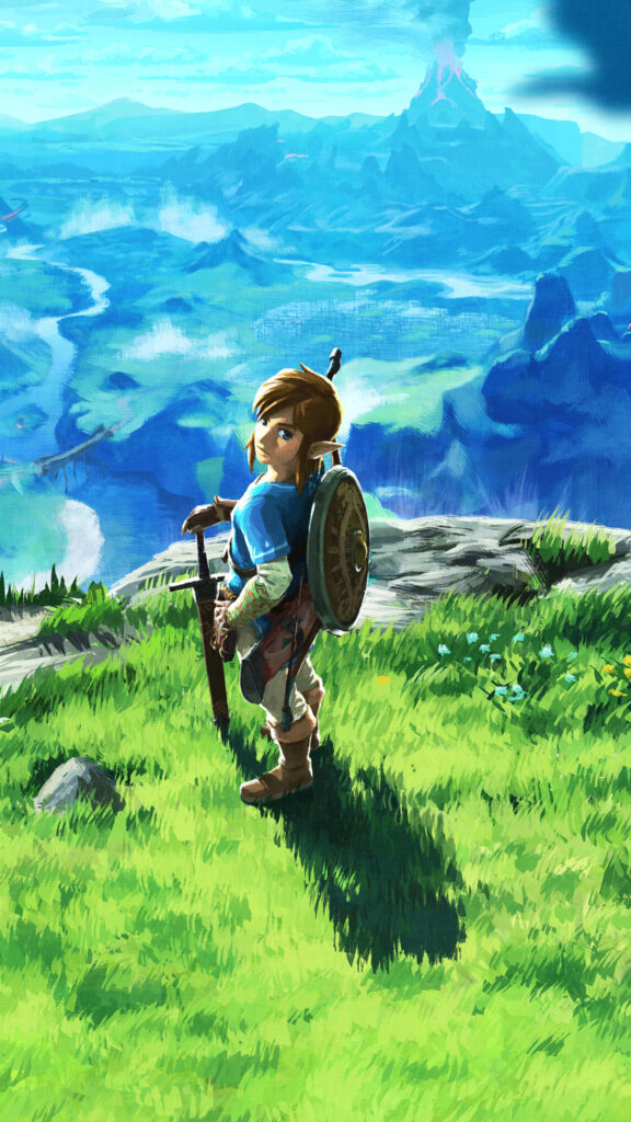 Link Overlooking Hyrule Landscape Mobile Wallpaper