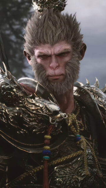Sun Wukong Detailed Portrait Fantasy Mobile Wallpaper