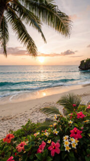 Stunning Tropical Beach Sunset Mobile Wallpaper