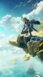Link Kneeling on Sky Island Mobile Wallpaper