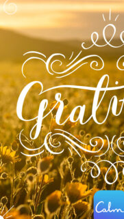 Gratitude Practice for Manifestation and Spiritual Growth Phone Wallpaper