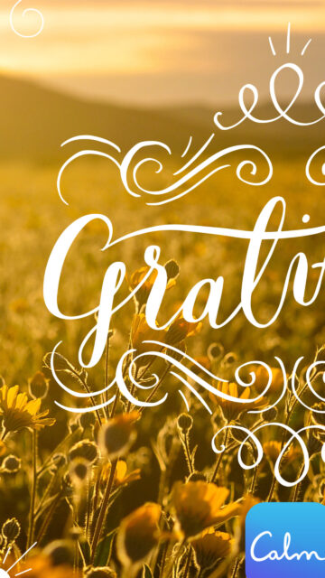 Gratitude Practice for Manifestation and Spiritual Growth Phone Wallpaper