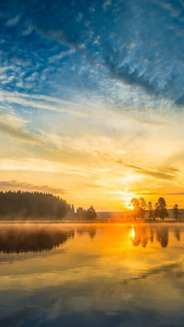 Golden Sunrise Over a Calm Misty Lake Mobile Wallpaper