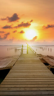 Sunset Wooden Pier Mobile Wallpaper