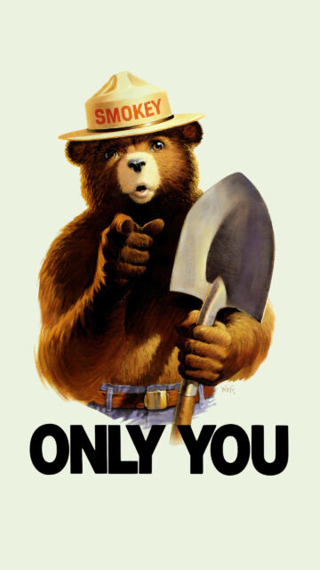 Smokey Bear Only You Poster Art Mobile Wallpaper