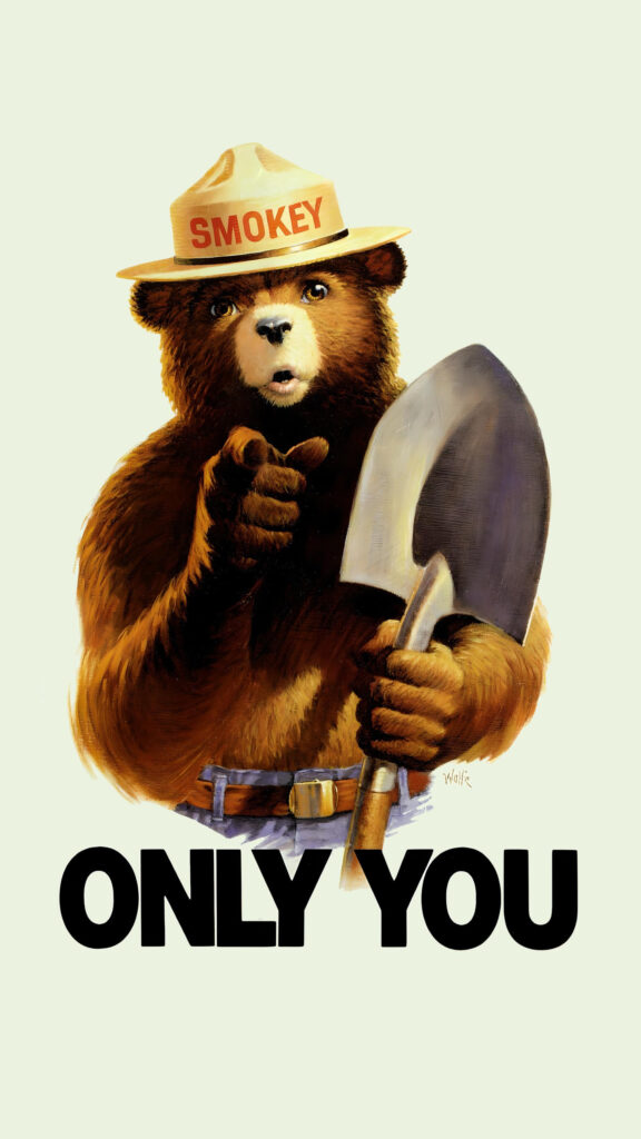 Smokey Bear Only You Poster Art Mobile Wallpaper