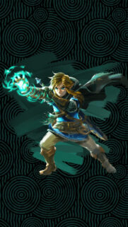 Link with Rauru’s Arm Mobile Wallpaper