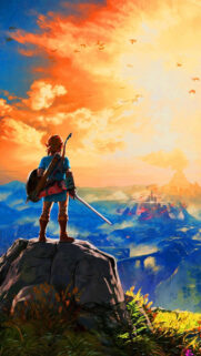 The Legend of Zelda Breath of the Wild Link Lookout Mobile Wallpaper