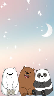 We Bare Bears Night Stars Mobile Wallpaper
