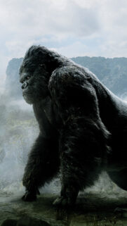 Majestic Giant Gorilla Portrait Vertical 4K Mobile Wallpaper