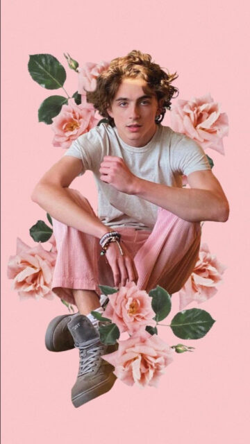 Timothee Chalamet Pink Floral Aesthetic Portrait Mobile Wallpaper