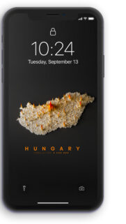 3D Hungary Population Density Map Mobile Wallpaper