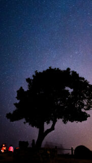Cosmic Night Sky and Celestial Stargazing Spiritual Energy Wallpaper