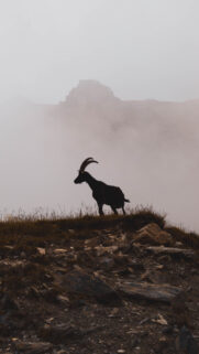 Capricorn Zodiac Mountain Peak Silhouette Aesthetic 4K Phone Wallpaper