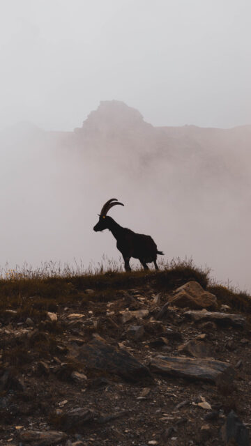 Capricorn Zodiac Mountain Peak Silhouette Aesthetic 4K Phone Wallpaper