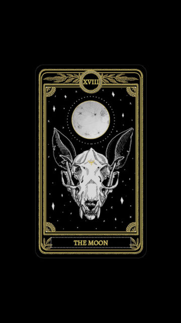 The Moon Tarot Card Gothic Skull Aesthetic Spiritual Wallpaper