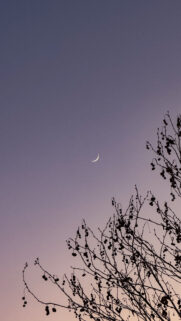 Waxing Crescent Moon Celestial Sky Spiritual Aesthetic Phone Wallpaper