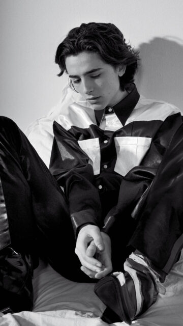 Timothée Chalamet Portrait Aesthetic Mobile Wallpaper