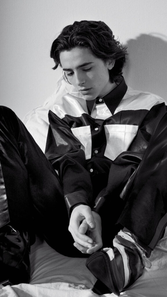 Timothée Chalamet Portrait Aesthetic Mobile Wallpaper