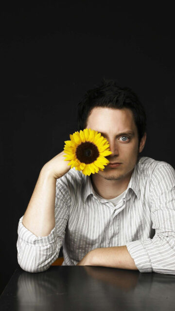 Elijah Wood Holding Sunflower Mobile Wallpaper