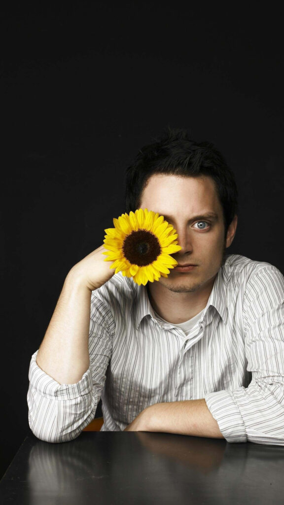 Elijah Wood Holding Sunflower Mobile Wallpaper