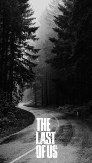 Foggy Forest Path Minimalist Vertical Mobile Wallpaper