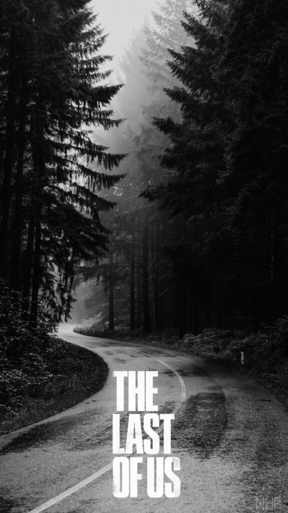 Foggy Forest Path Minimalist Vertical Mobile Wallpaper