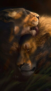 Romantic Lion Pair Digital Art Mobile Wallpaper