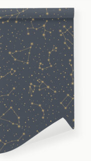 Celestial Constellations and Zodiac Map Astrological Art Wallpaper