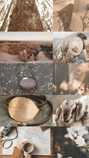 Capricorn Ambition and Manifestation Astrology Mood Board Wallpaper