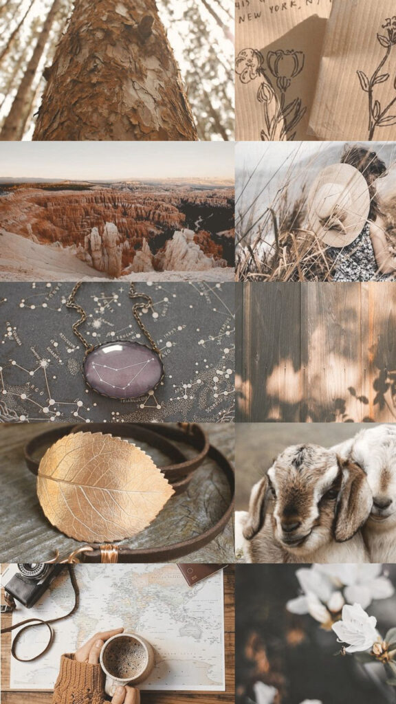 Capricorn Ambition and Manifestation Astrology Mood Board Wallpaper
