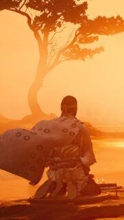 Ghost of Tsushima Meditation Scene Mobile Wallpaper