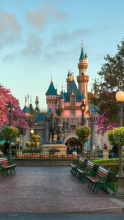 Sleeping Beauty Castle in Disneyland Mobile Wallpaper