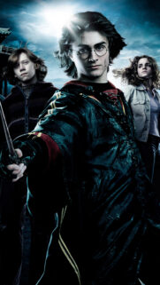 Harry Potter Film Portrait Mobile Wallpaper