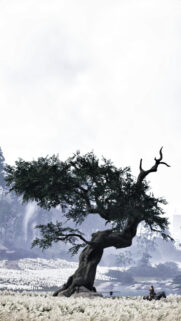 Ghost of Tsushima Artistic Tree View Mobile Wallpaper