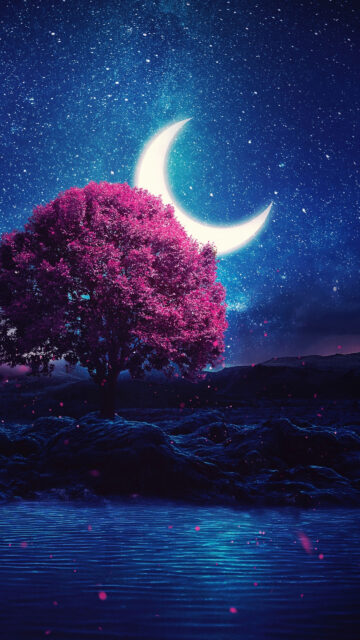 Crescent Moon and Vibrant Tree Spiritual Energy Celestial Sky Wallpaper